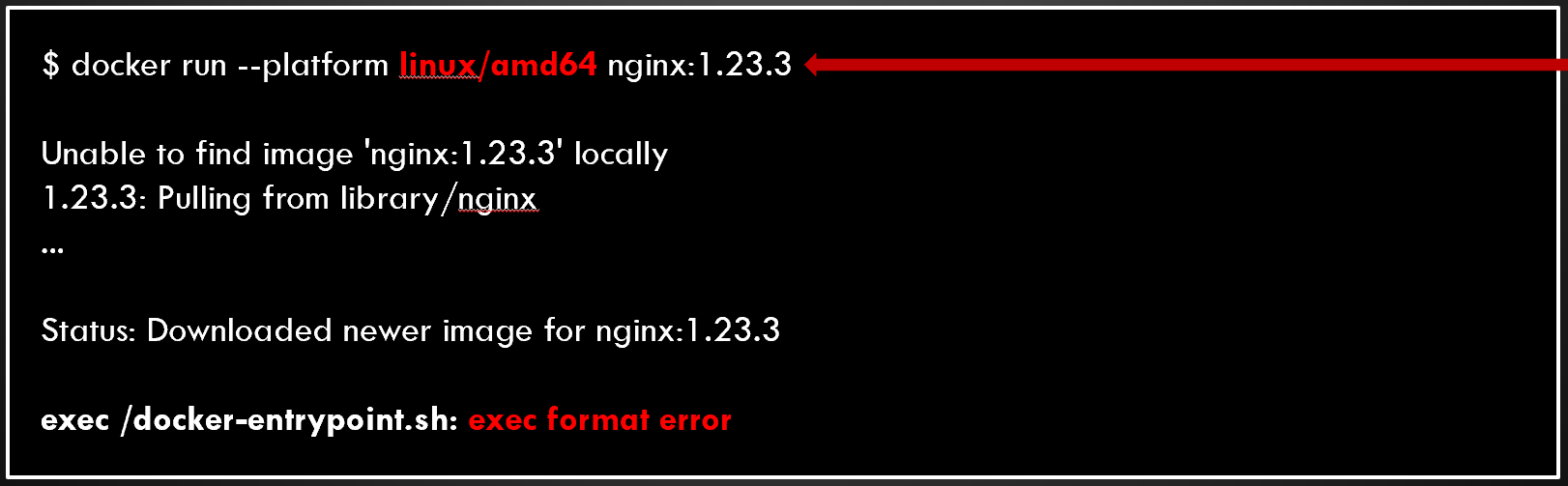 CPU architecture incompatibility