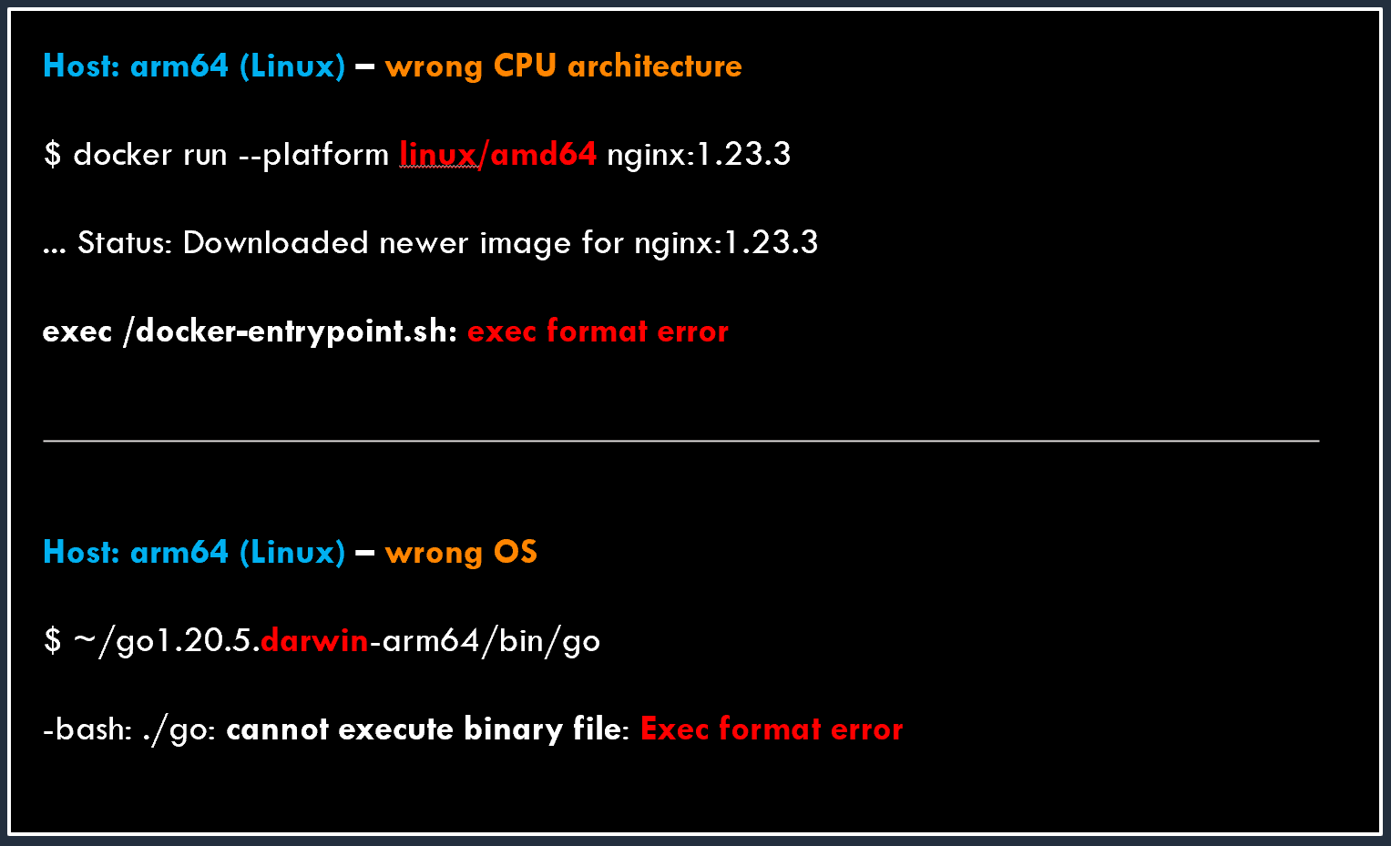Exec Format Error
